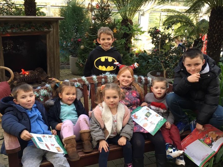 my beauitful grandchildren